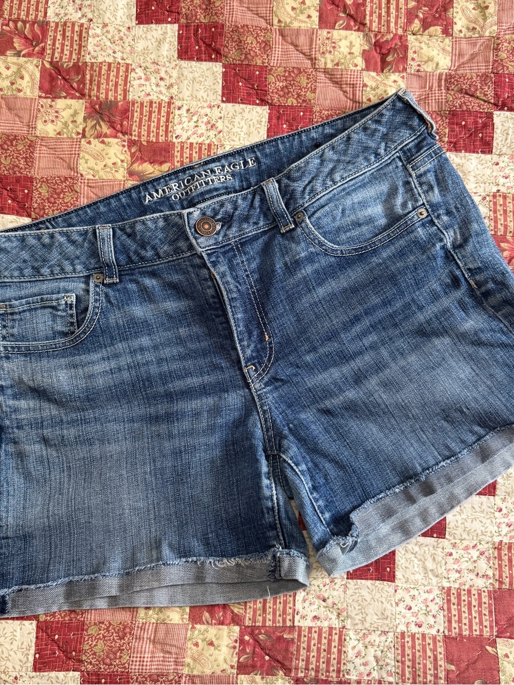 American Eagle Outfitters Women’s Denim Shorts – Size 14